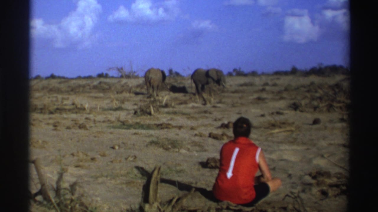 1969 South Africa 8mm frame of a seated person in a red sleeveless shirt facing two elephants across dry open savanna.