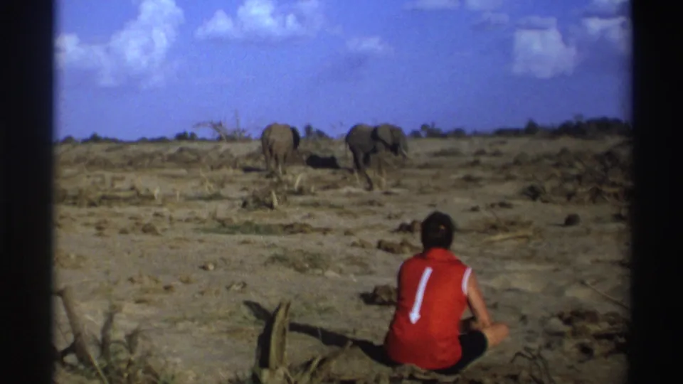 1969 South Africa 8mm frame of a seated person in a red sleeveless shirt facing two elephants across dry open savanna.