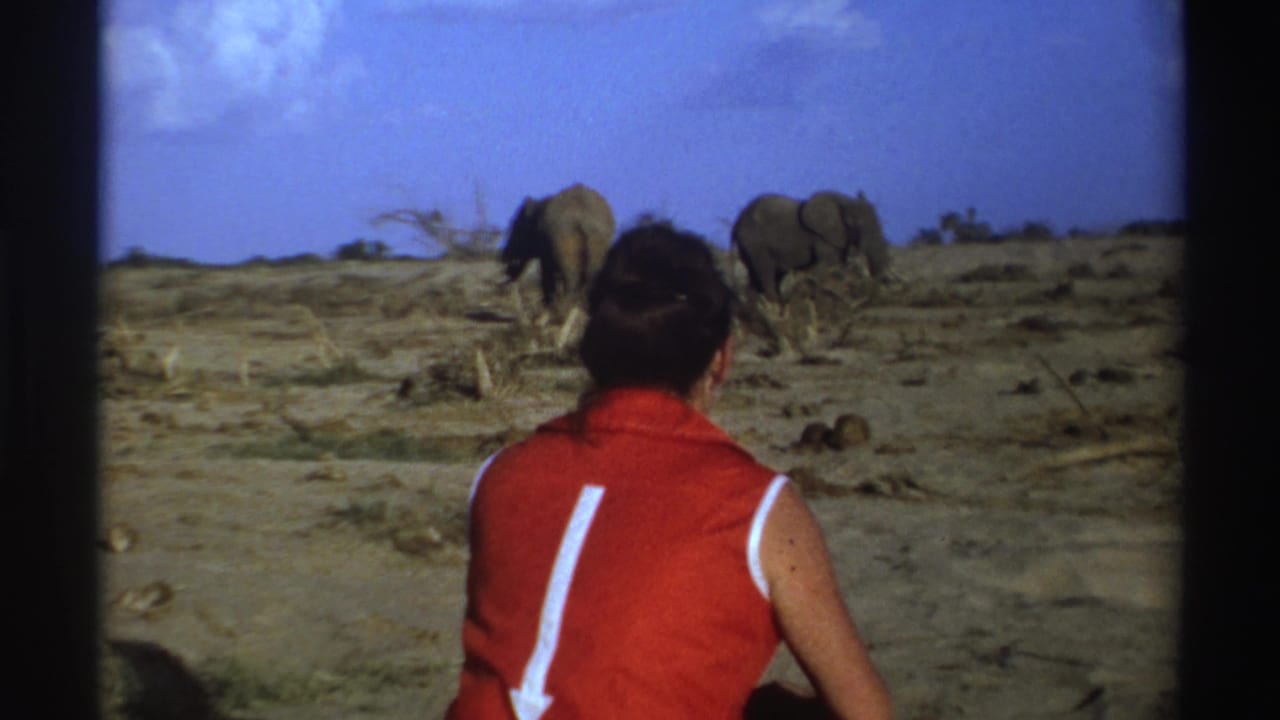 Woman in a red sleeveless top sits on dry ground watching two distant elephants.