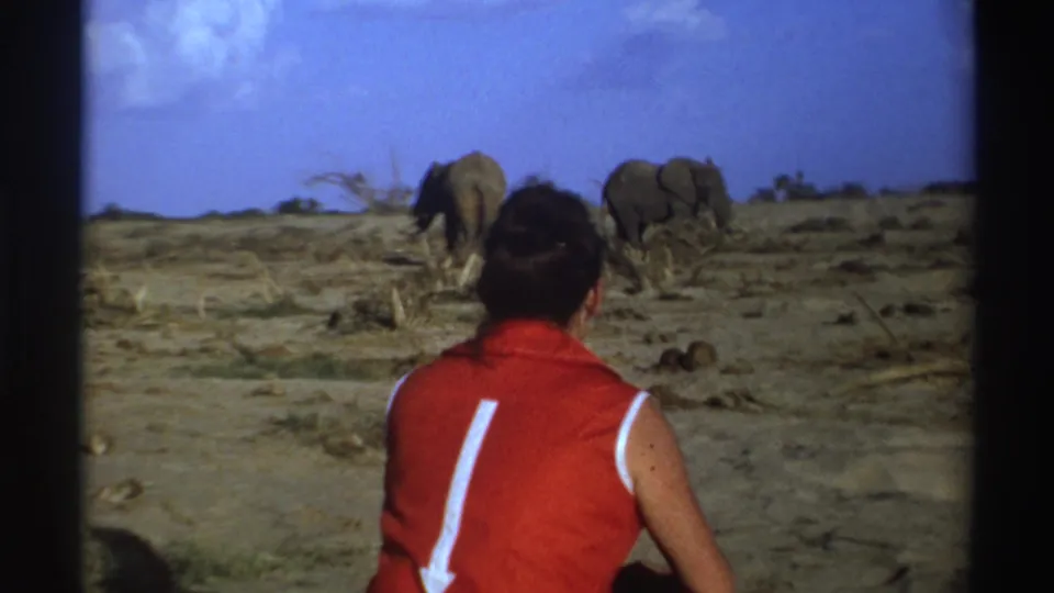In 1969 South Africa home-movie footage, a woman in a red sleeveless top sits in a dry savanna facing two elephants.