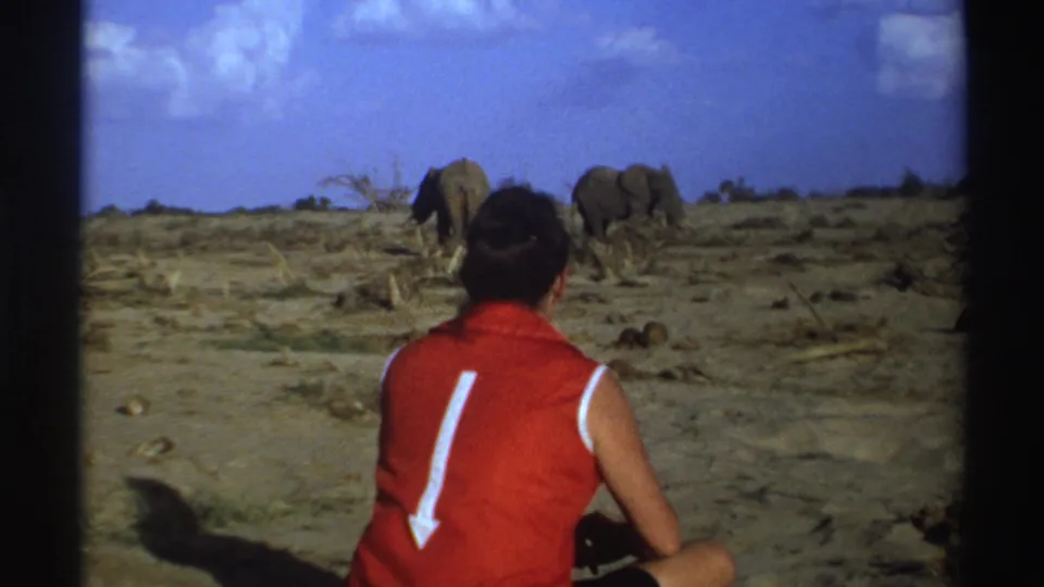 A woman seated on dusty savanna ground faces two distant elephants in supported 1969 South Africa travel footage.