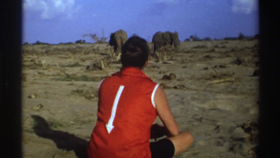 The 8mm frame shows a woman in red seated in the foreground, looking toward elephants in a dry South African savanna.