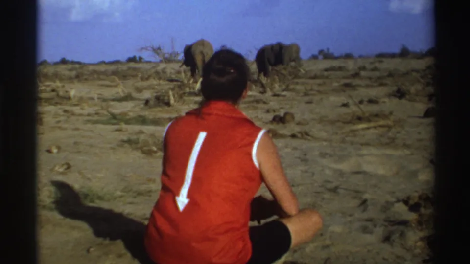 A seated woman in red watches two elephants across scrubby savanna in 1969 South Africa 8mm home-movie footage.
