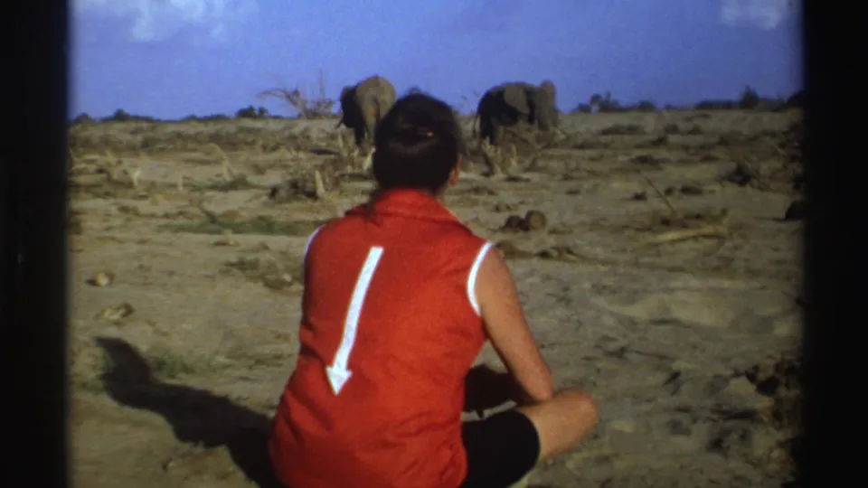 In South Africa 1969 home-movie footage, a woman sits with her back to camera while two elephants move across dry terrain.