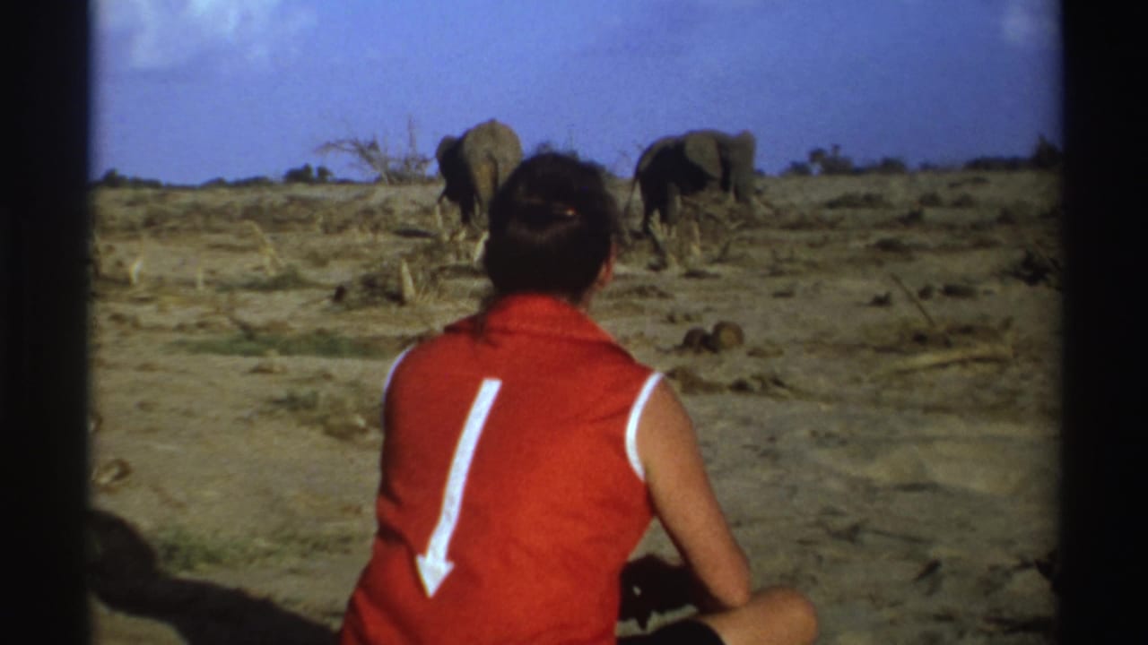 Seated woman in red faces elephants walking across sparse terrain.