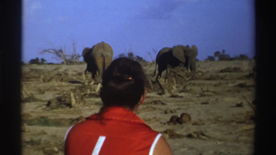 A closer handheld 8mm frame shows the woman's head and shoulders below two elephants in the dry safari landscape.