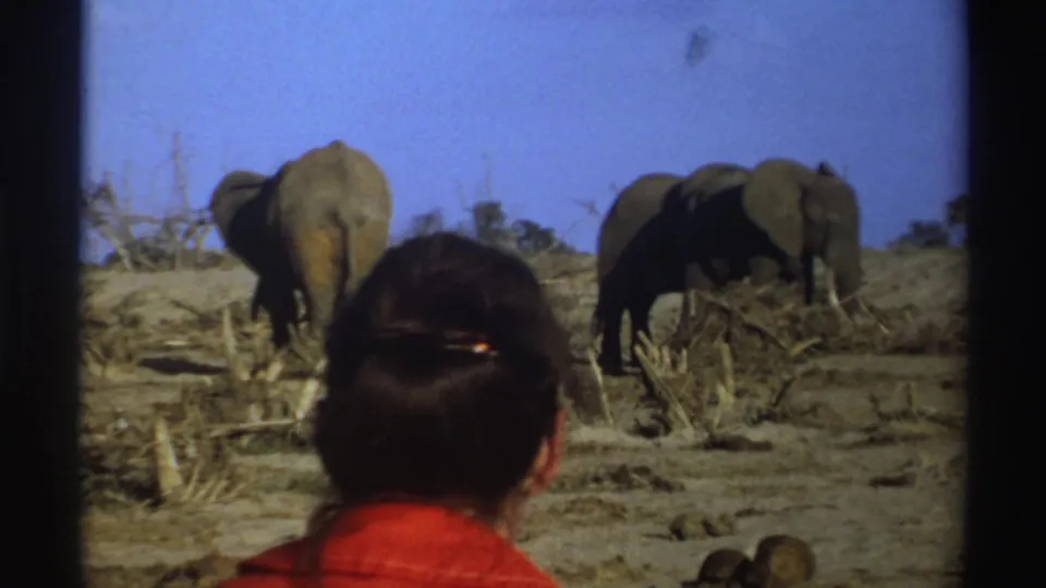 Near the end of the South Africa 1969 clip, the woman fills the foreground while two elephants stand in the distance.