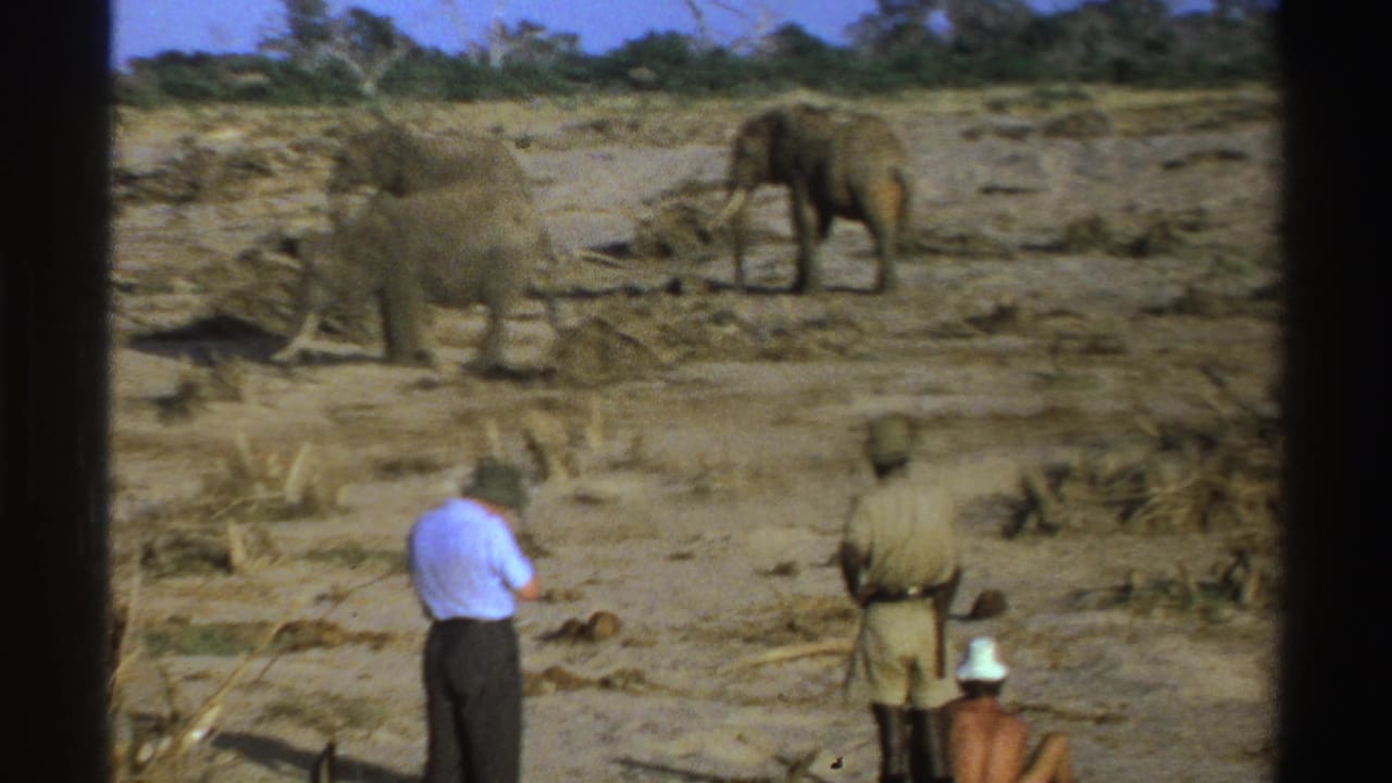 Two men watch three elephants in a dry open field with trees in the distance.