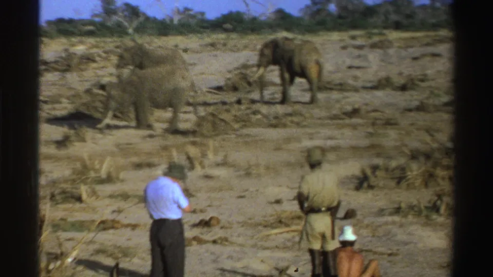 1969 South Africa 8mm frame showing two men standing near the foreground while three elephants move across a barren field.