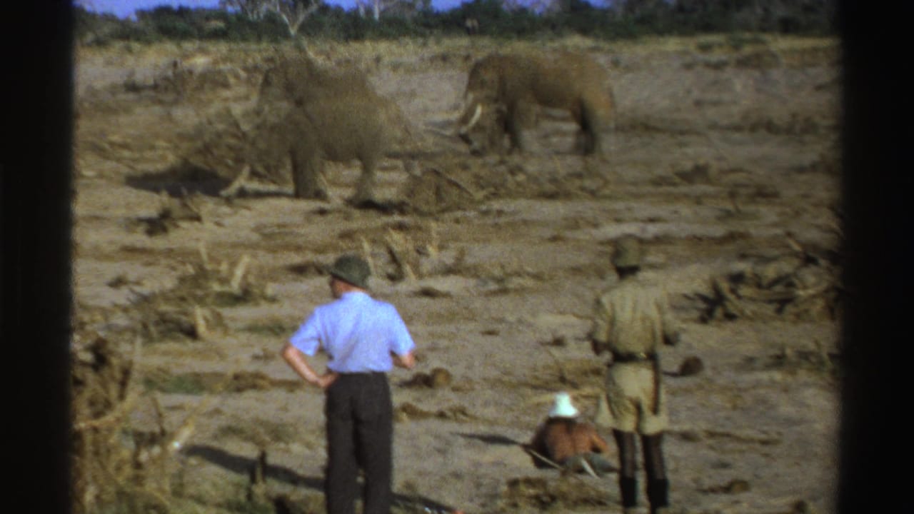 Tourists and a guide watch elephants across a dry landscape.