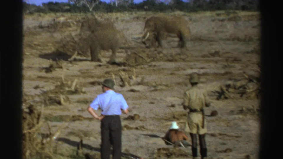 1969 South Africa safari frame with tourists in hats and a guide watching elephants on dry open ground.