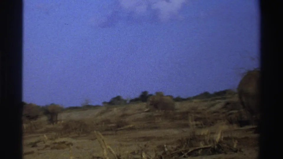1969 South Africa 8mm frame with dry scrubland and elephants partially visible at the edge of the shot.