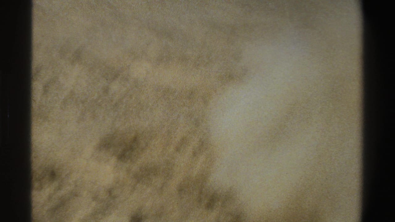 Blurred close view of dry ground and vegetation during camera movement.
