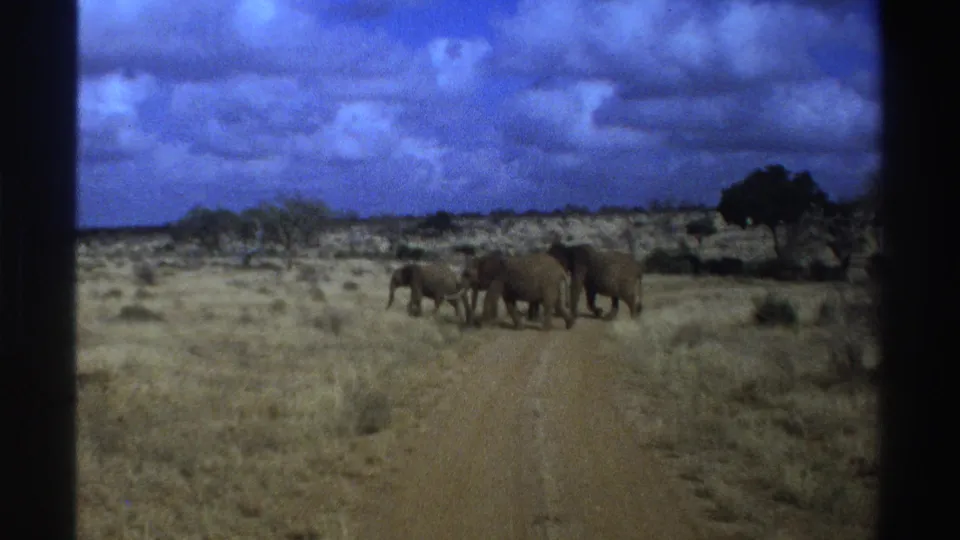 1969 South Africa home-movie frame of a small elephant herd crossing a dusty road under a blue, clouded sky.