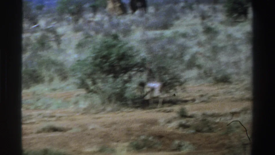 1969 South Africa 8mm frame with a soft handheld view of animals grazing near low scrub and dry ground.