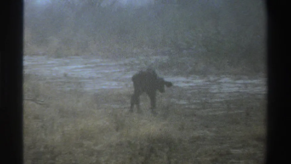1969 South Africa 8mm frame with the solitary animal receding through dry grass near a pale waterline or sandy open patch.