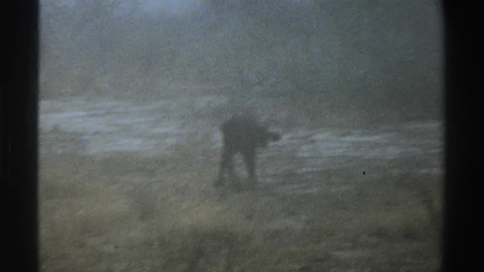 In 1969 South Africa 8mm footage, a dark animal silhouette appears in a misty grassy field with faint trees beyond it.