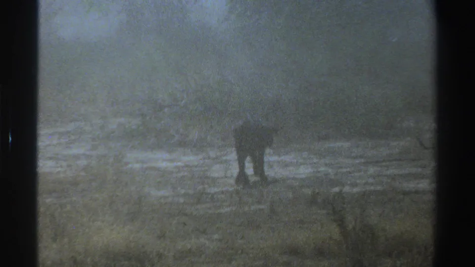 The animal appears as a blurred dark silhouette on a damp grassy plain in the metadata-supported South Africa 1969 footage.