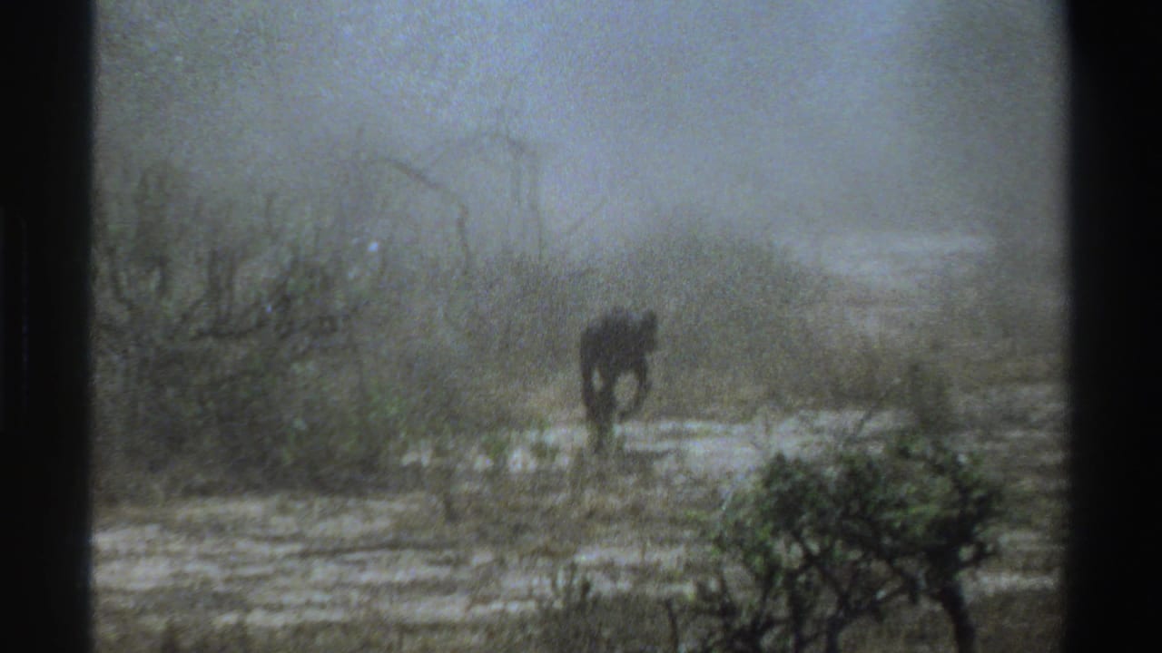 1969 South Africa 8mm frame showing a lone small animal partly silhouetted in smoke among low scrub and uneven open ground.