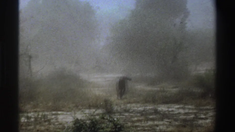 1969 South Africa 8mm frame showing a distant animal softened by smoke and grain in a sparse scrub landscape.