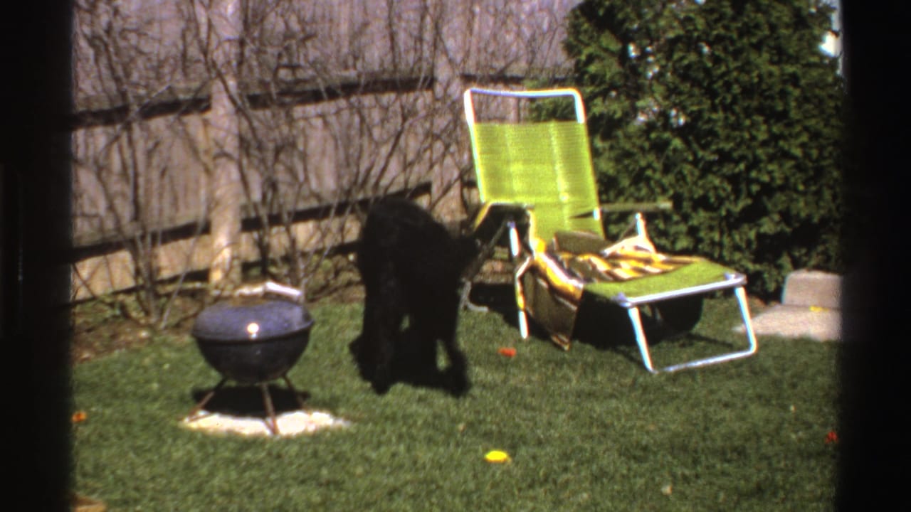 Black dog sniffing grass beside a small grill and green lawn chair.