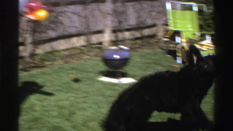 In 1969 Michigan home-movie footage, a large black dog moves across a backyard while colorful balls, a lawn chair, grill, grass, and fence are visible.