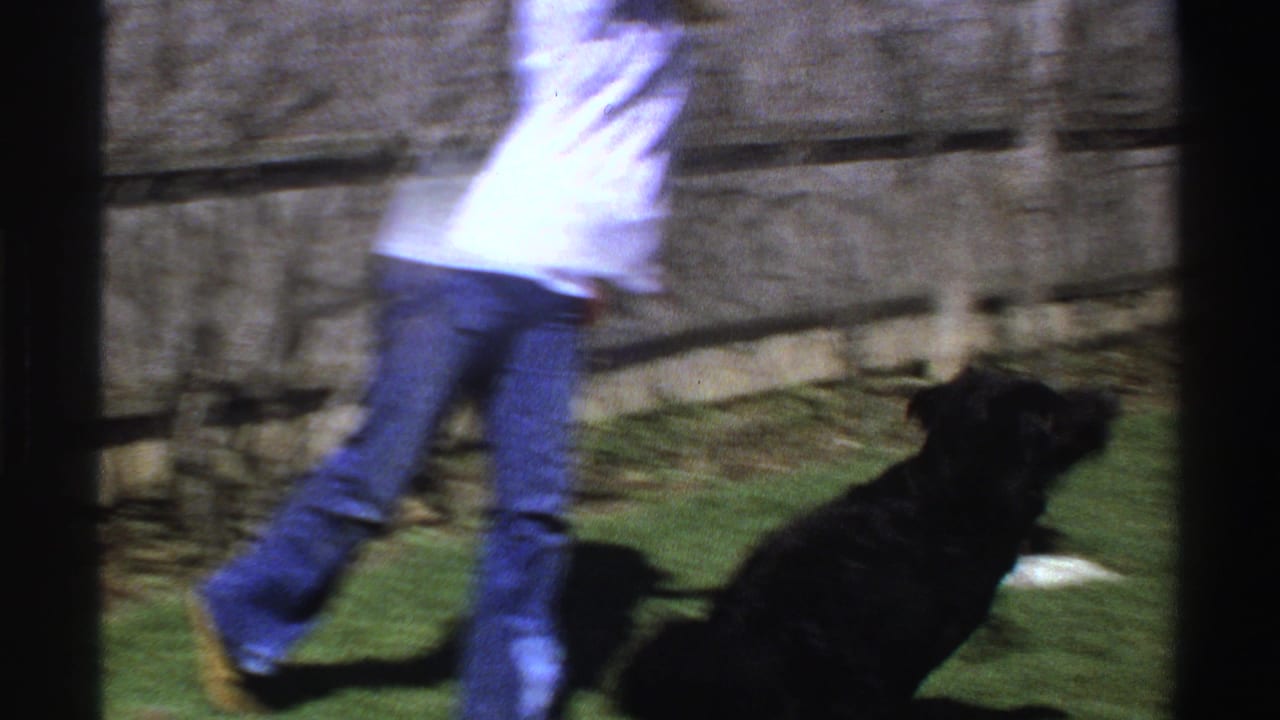 Woman in jeans moves across a backyard as a black dog watches near a wooden fence.