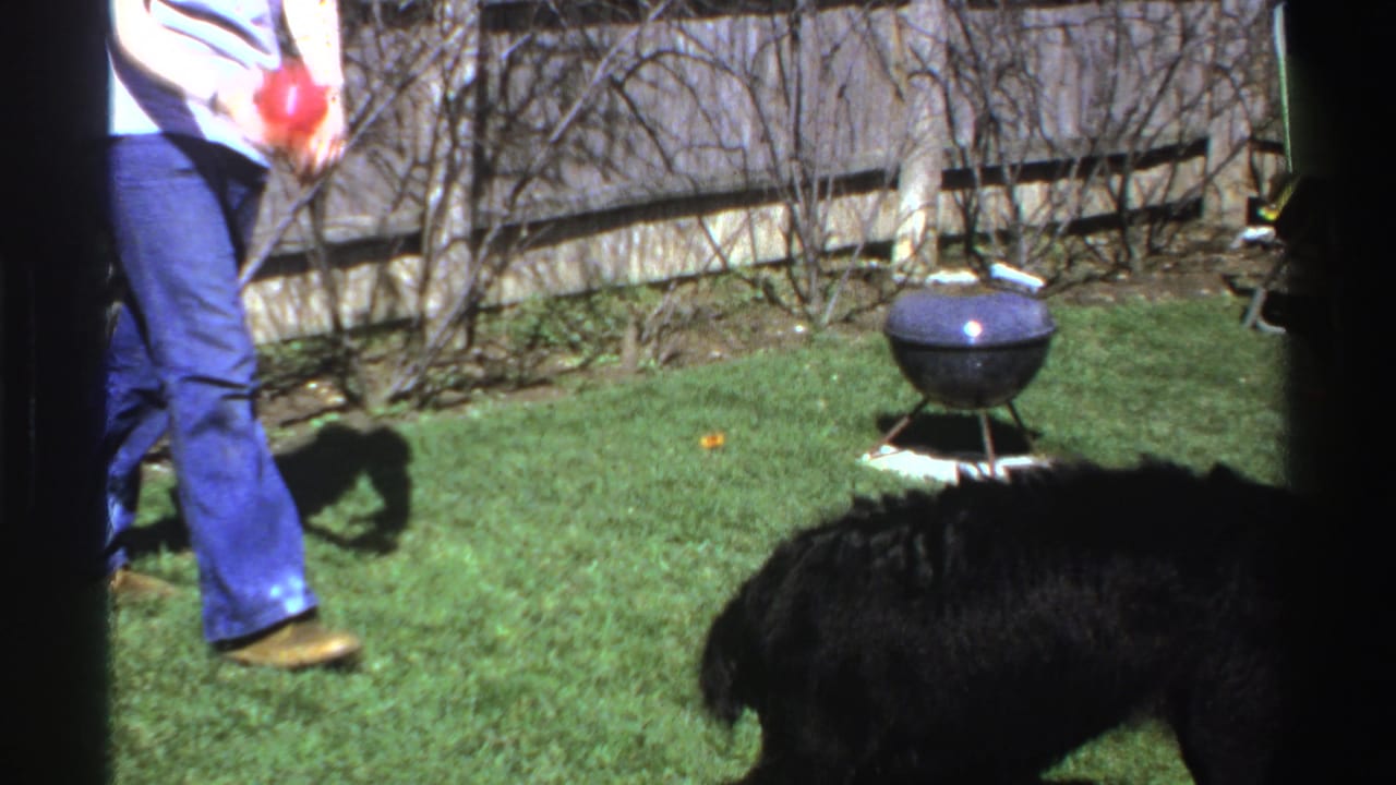 A woman in jeans holds a red ball as a black dog waits in a grassy Michigan backyard near a small charcoal grill.