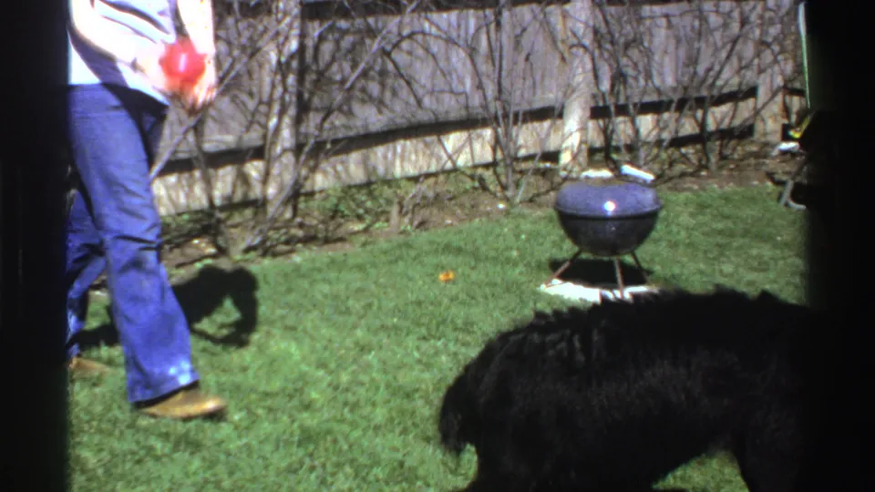 A woman in jeans holds a red ball as a black dog waits in a grassy Michigan backyard near a small charcoal grill.