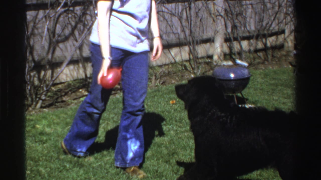 In the 1969 Michigan home-movie scene, a woman holds a red ball while a black dog faces her on the lawn.