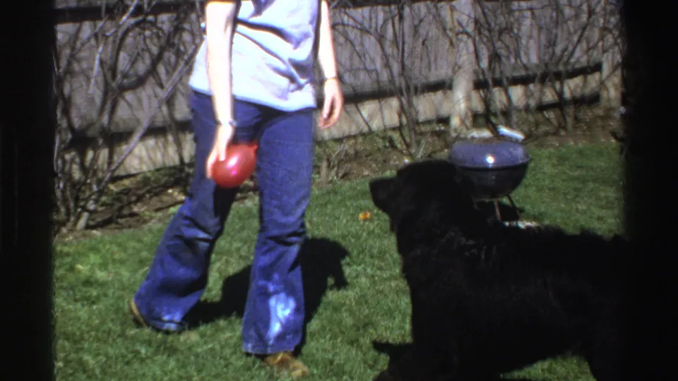 In the 1969 Michigan home-movie scene, a woman holds a red ball while a black dog faces her on the lawn.