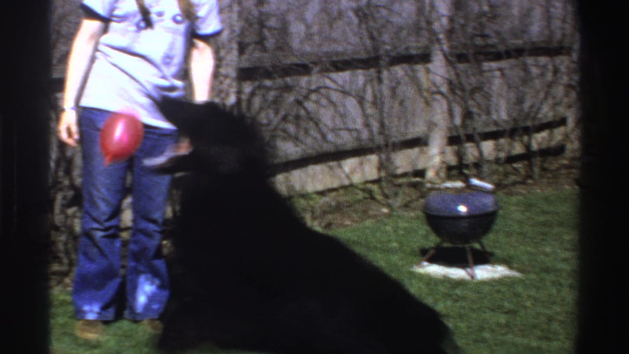In a Michigan yard in 1969, a man holds a red ball while a black dog stands in deep shadow near a kettle grill and fence.