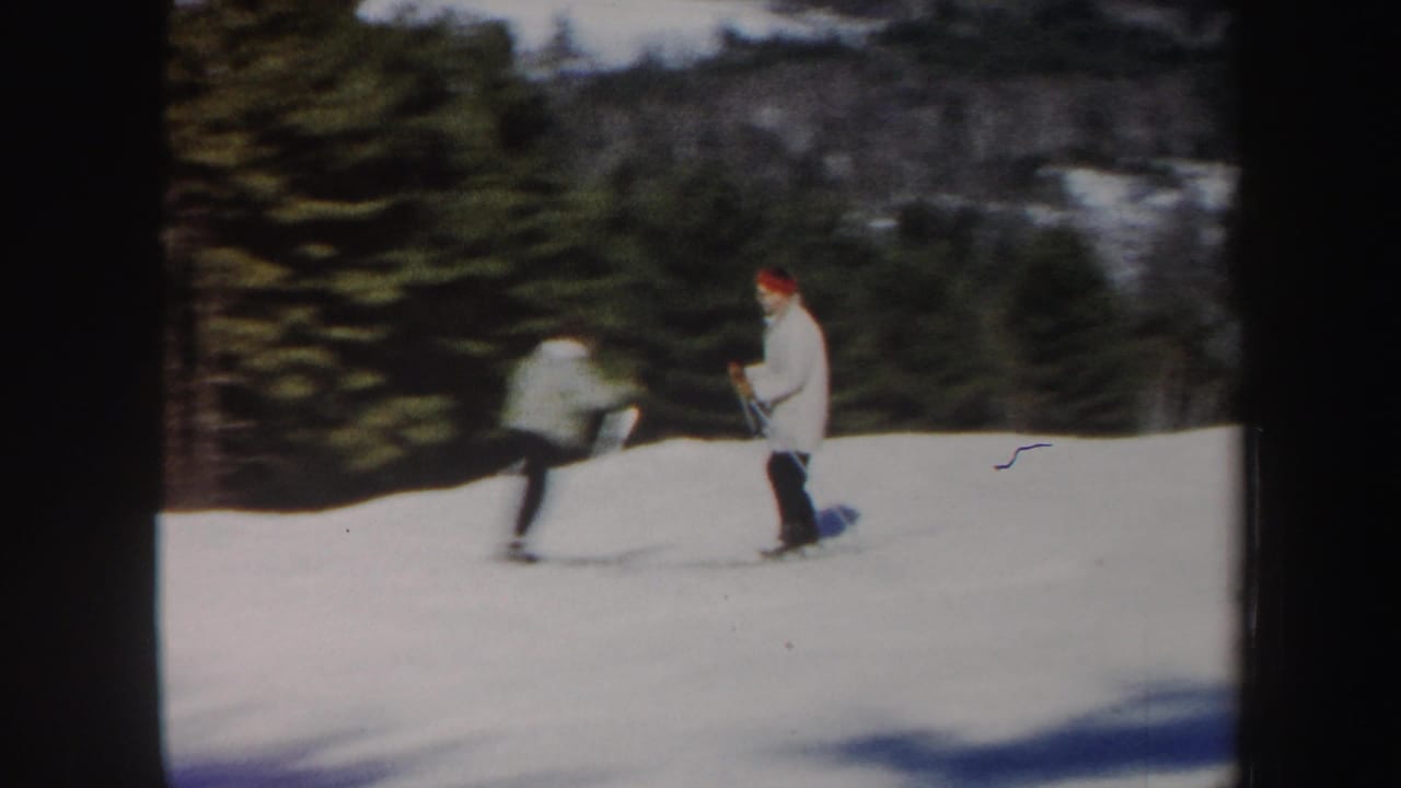 Two skiers pass on a snowy hillside with evergreen trees in the background.