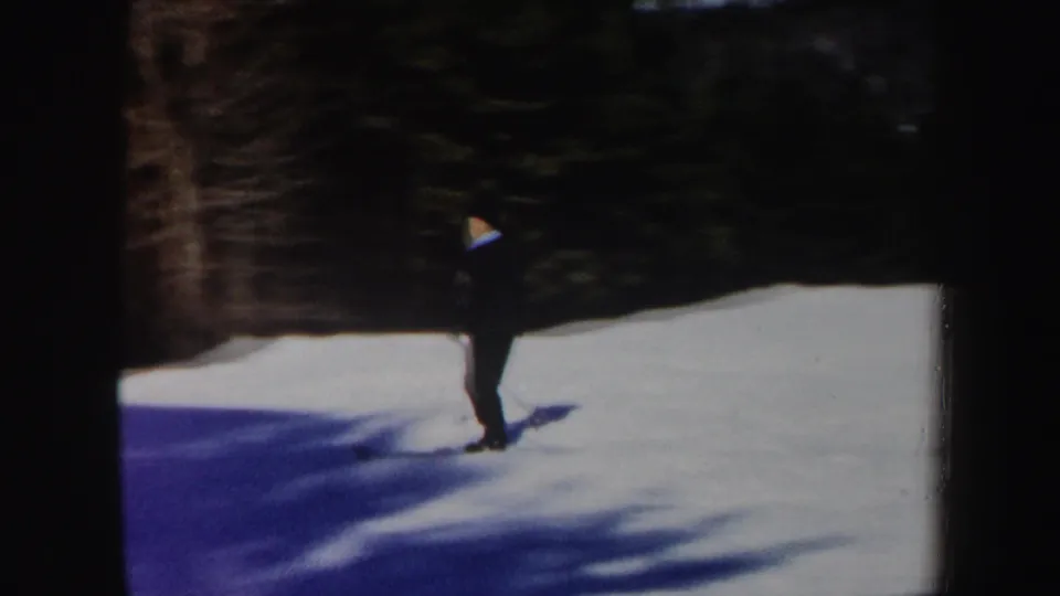 The adult skier in a dark suit glides along the snow, with bare trees and deep blue shadows behind him.