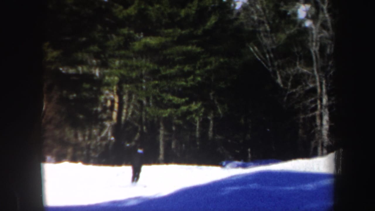 Distant skier on a snowy slope beside dark evergreen woods.