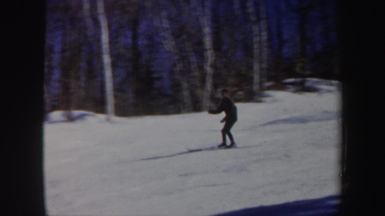 A skier descends a snowy slope near leafless trees.