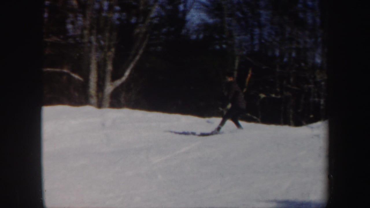 Distant skier crossing a snowy slope with bare trees behind.