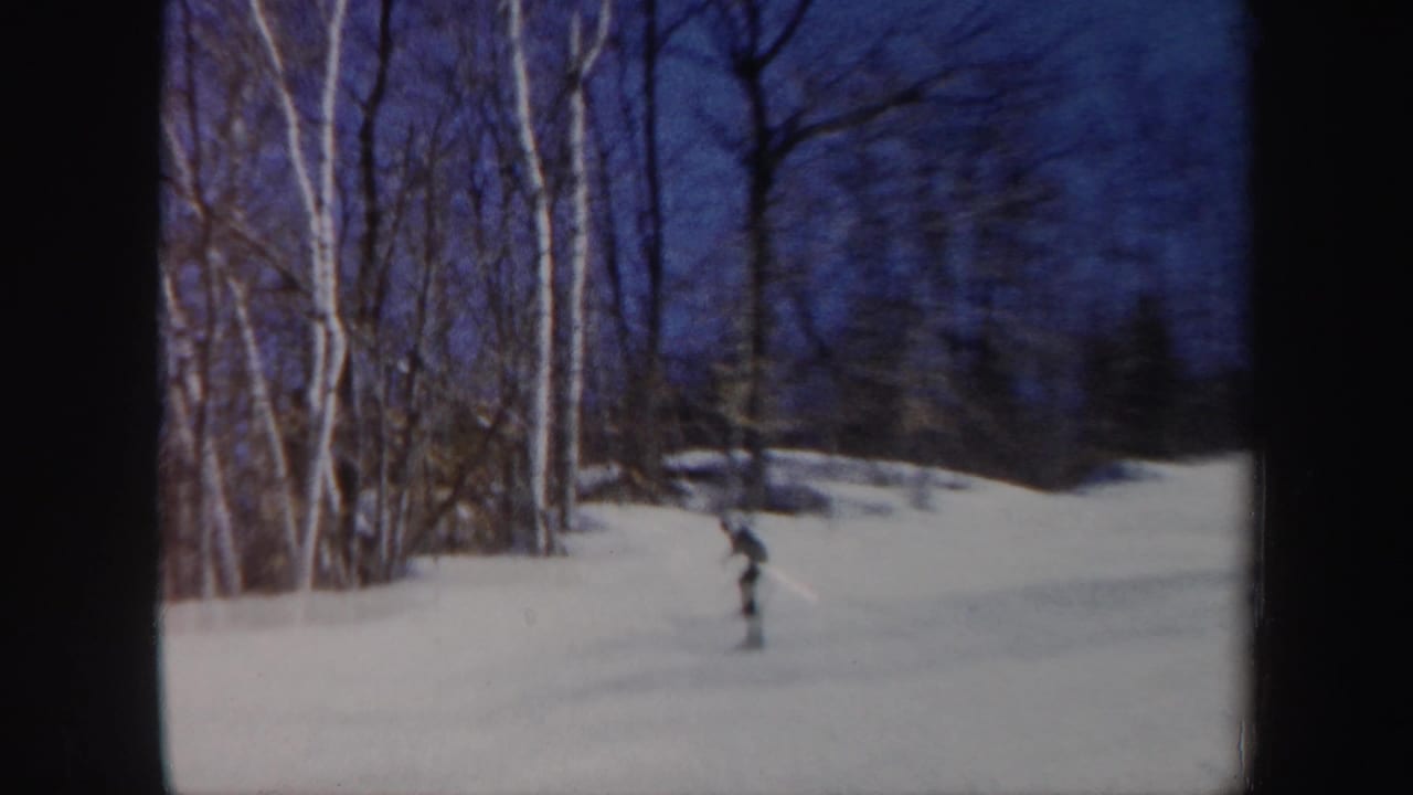 Skier in dark clothing near the edge of a wooded snowy slope.