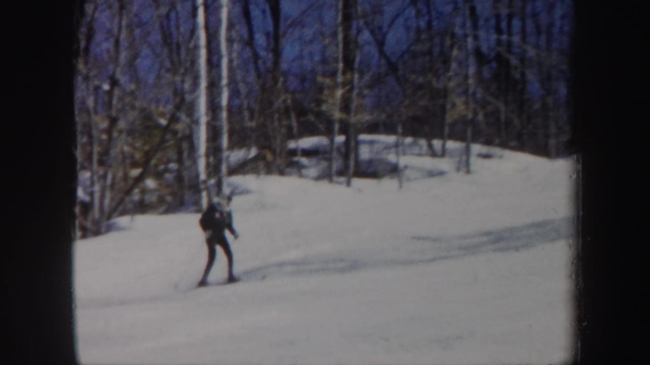 Distant skier on a snowy slope bordered by bare trees.