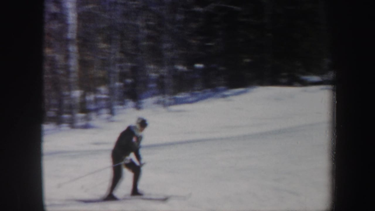 Adult skier leans forward with poles on a snowy slope near trees.