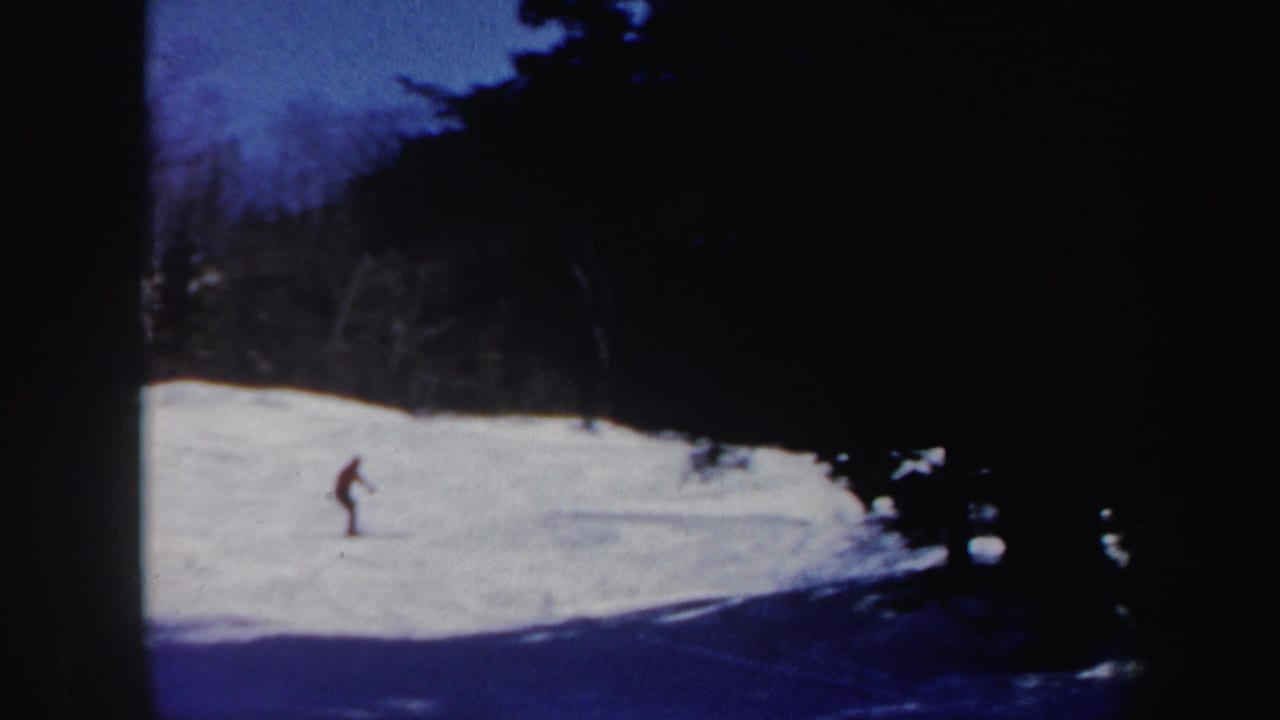 Small skier descends a bright snowy hill near dark trees.