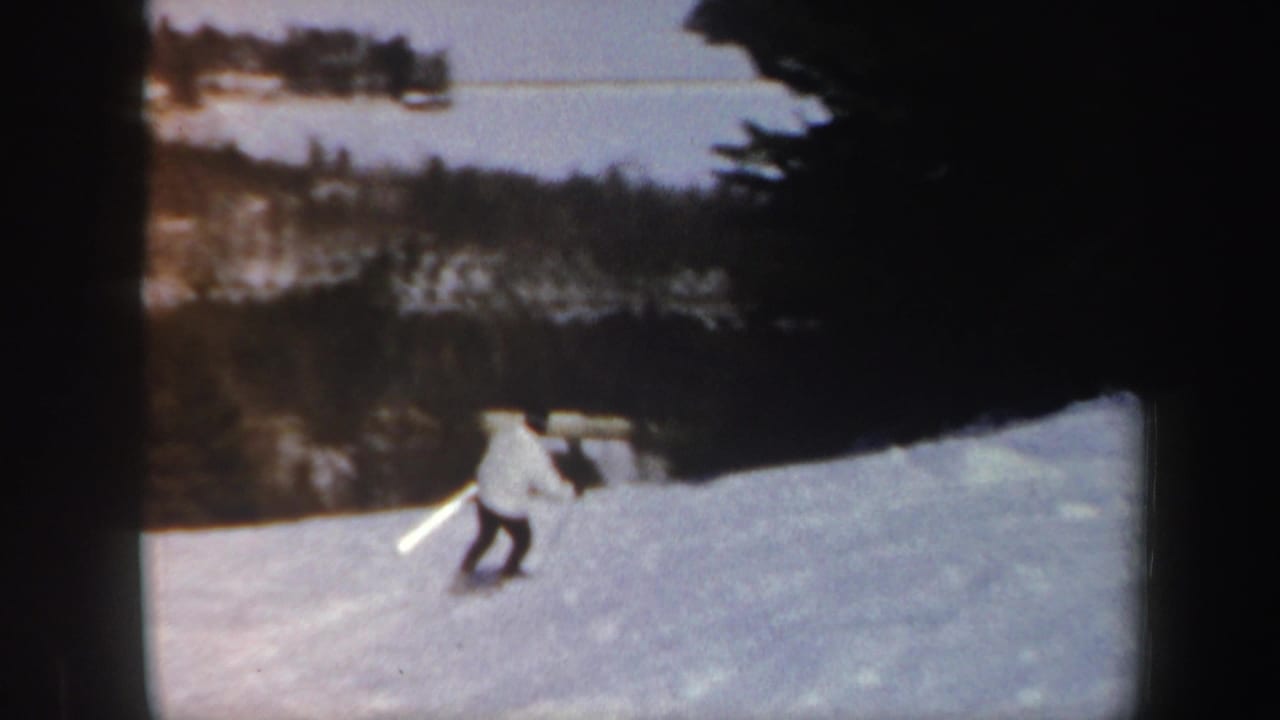 Lone skier in a light jacket descending a snowy slope with dark trees and distant water behind.