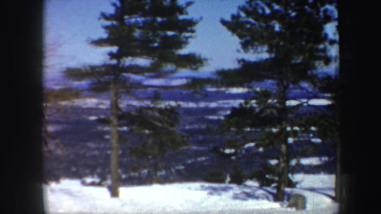 Snowy overlook with evergreen trees and distant hills under a blue sky.