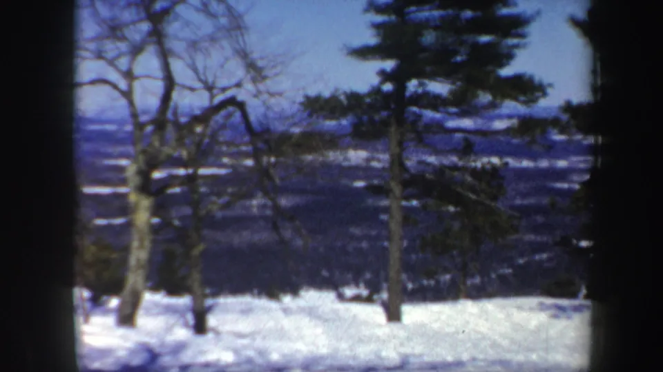 1962 Vermont 8mm frame showing a winter hillside, bare trees, an evergreen, and distant hills softened by film grain.