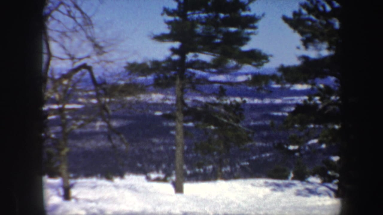 Snowy hillside and distant valley framed by evergreen and bare tree trunks.