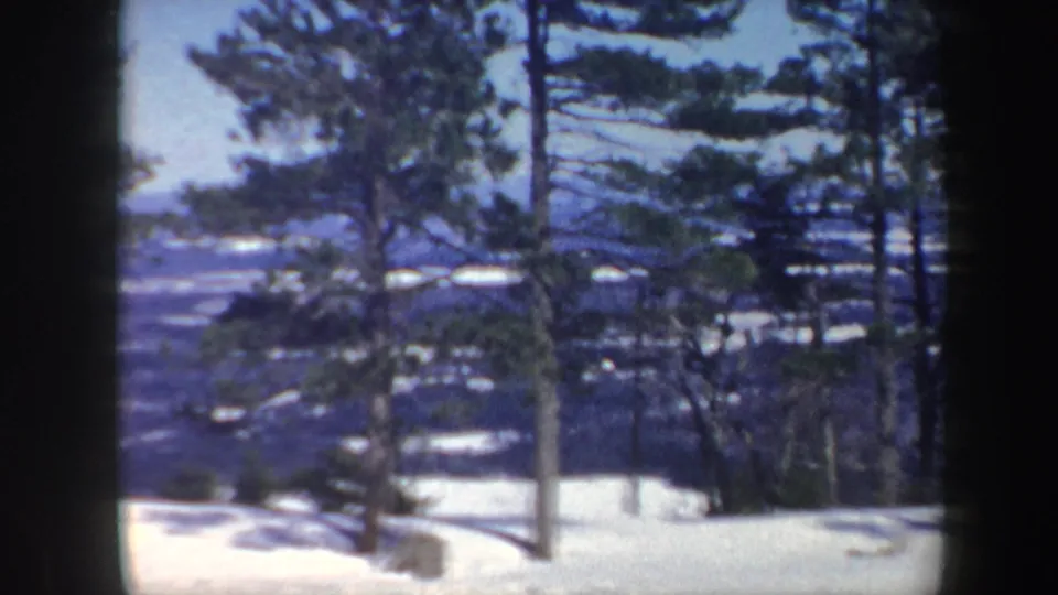 A winter hillside in Vermont looks through tall trees toward a shadowed valley, with snow in the foreground and soft 8mm grain.