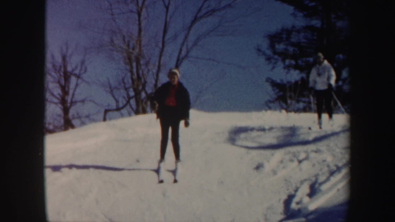 Two skiers descend a snowy hill under a blue winter sky.