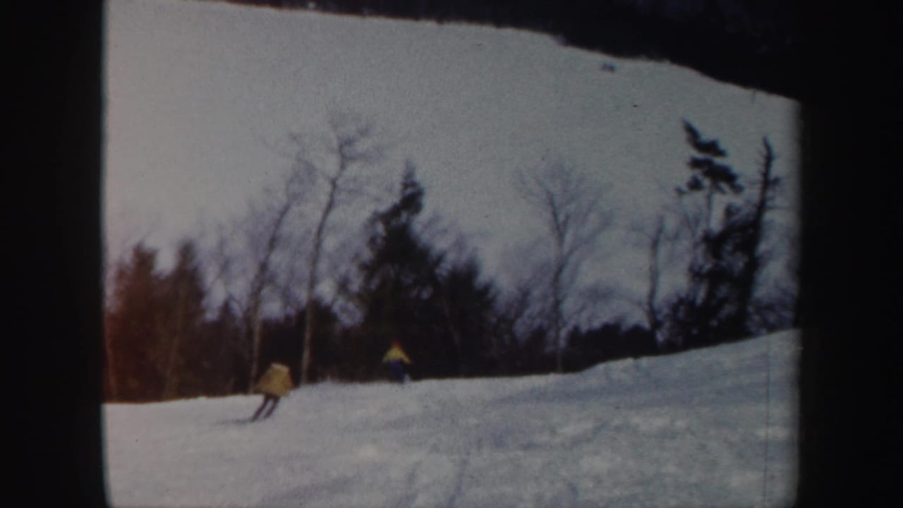 Skier in a yellow jacket descending a snowy hill near trees.