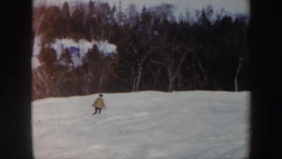 The skier appears lower on the Vermont snowfield, small against the broad white slope and dense winter trees.