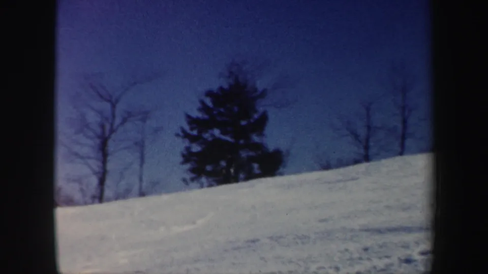 Snow-covered Vermont hillside with bare trees and an evergreen, with the skier no longer visible in this frame.